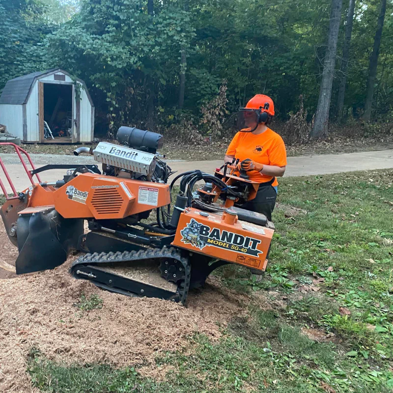 ongoing stump grinding service
